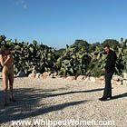 www.whippedwomen.com