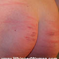 whippedwomen.com